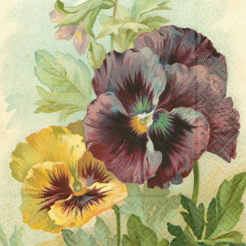 Servetter, 33x33 cm, 3-lags, FSC-märkta, 20-pack.